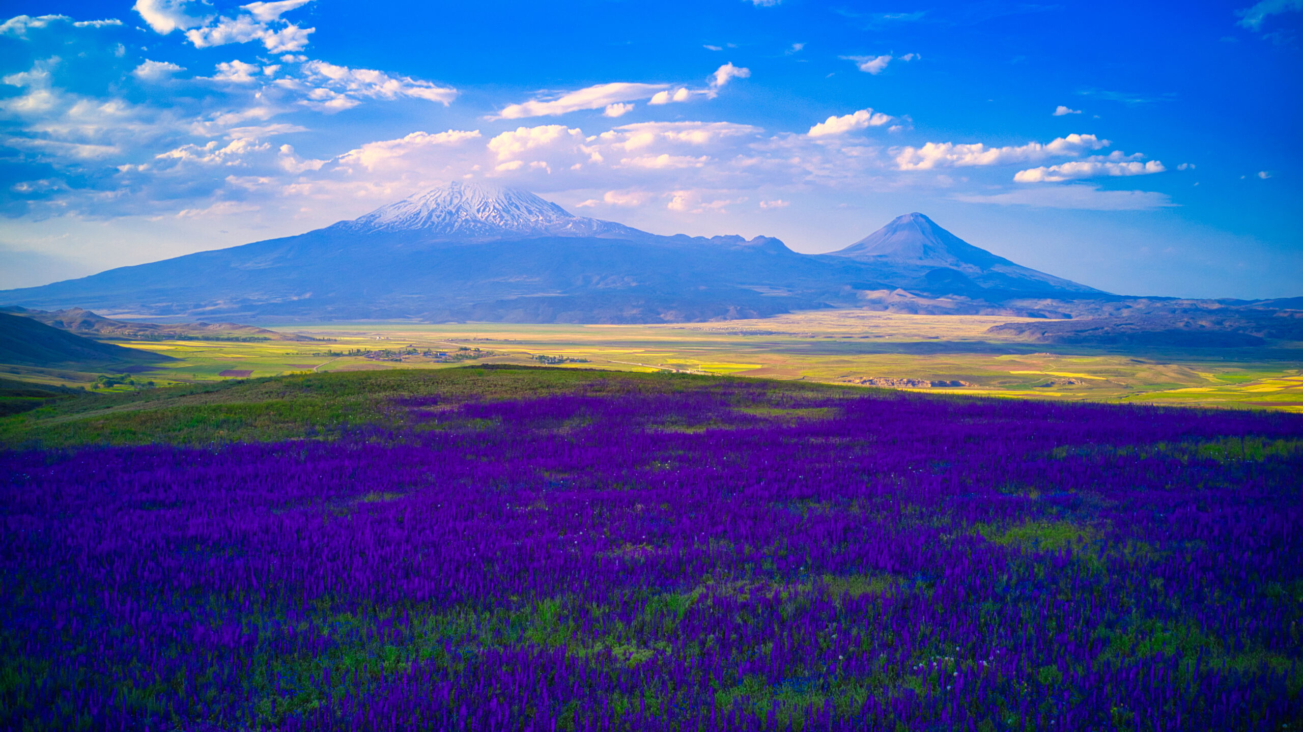 Mount Ararat with springtime flowers blooming.